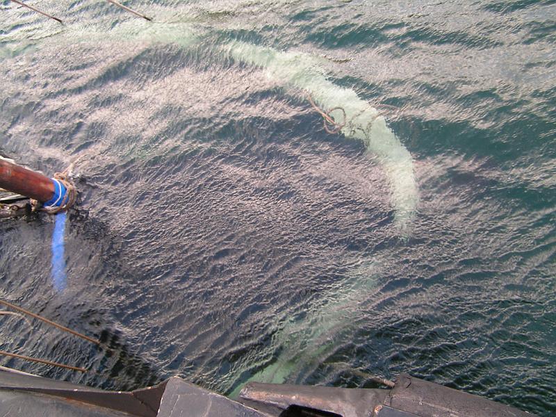 PICT0008.JPG