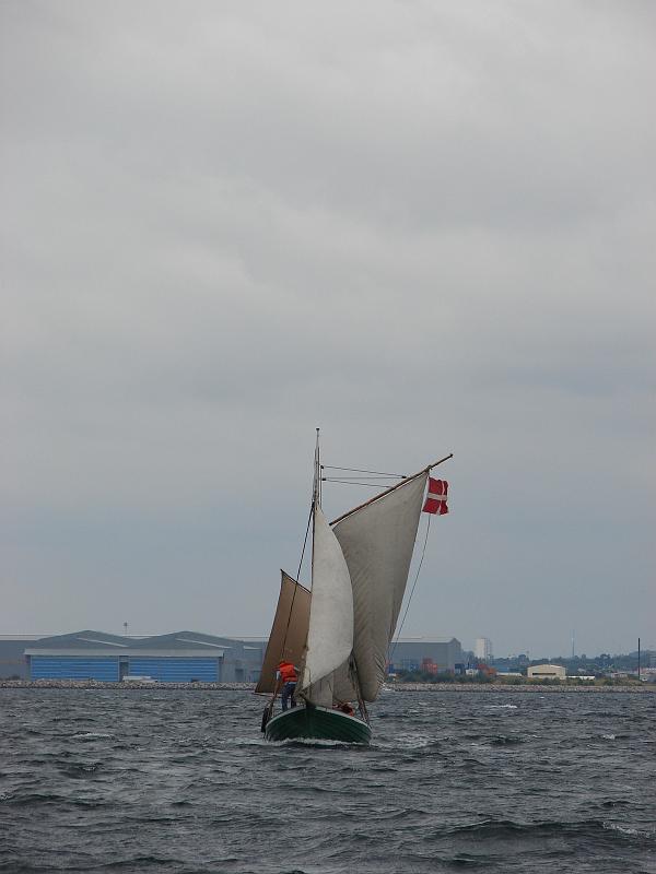 DSC02670.JPG
