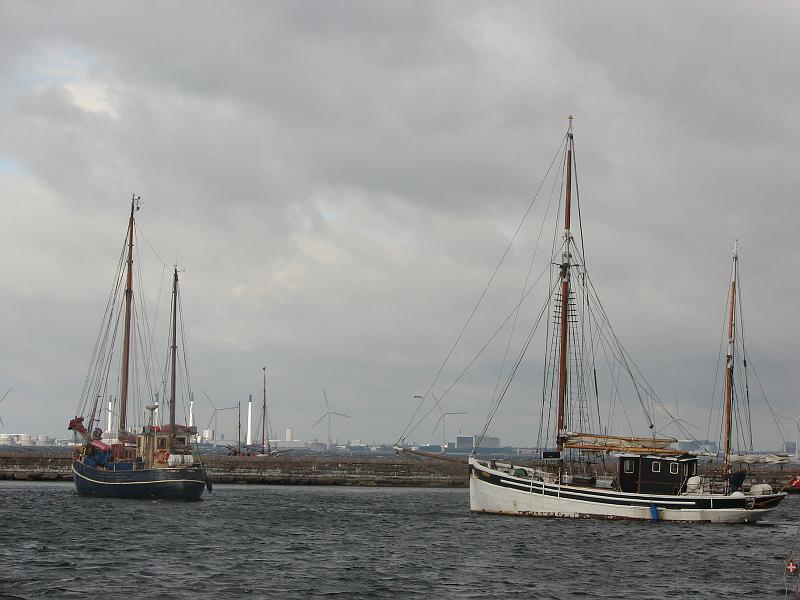 DSC02835.JPG