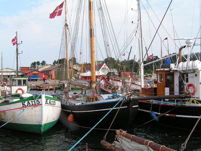 PICT0050.JPG