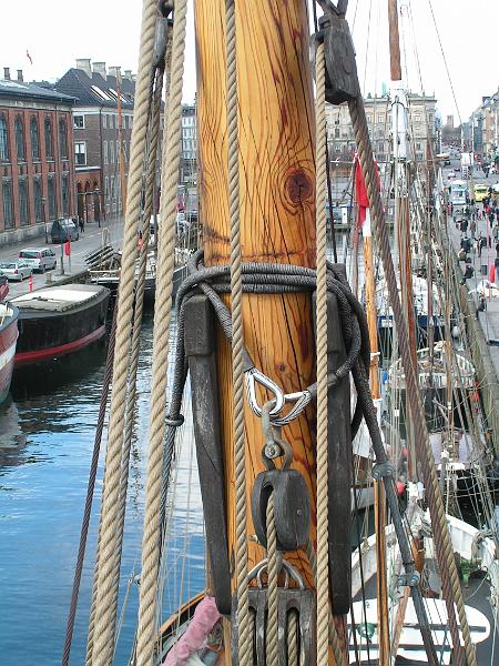 PICT0011.JPG