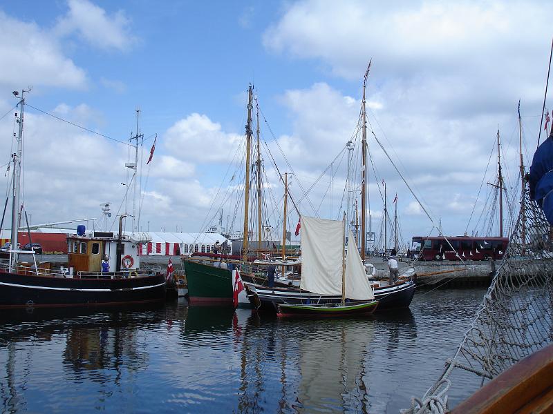 DSC05374.JPG