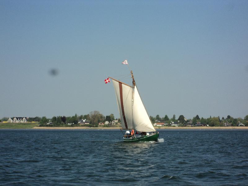 DSC01223.JPG