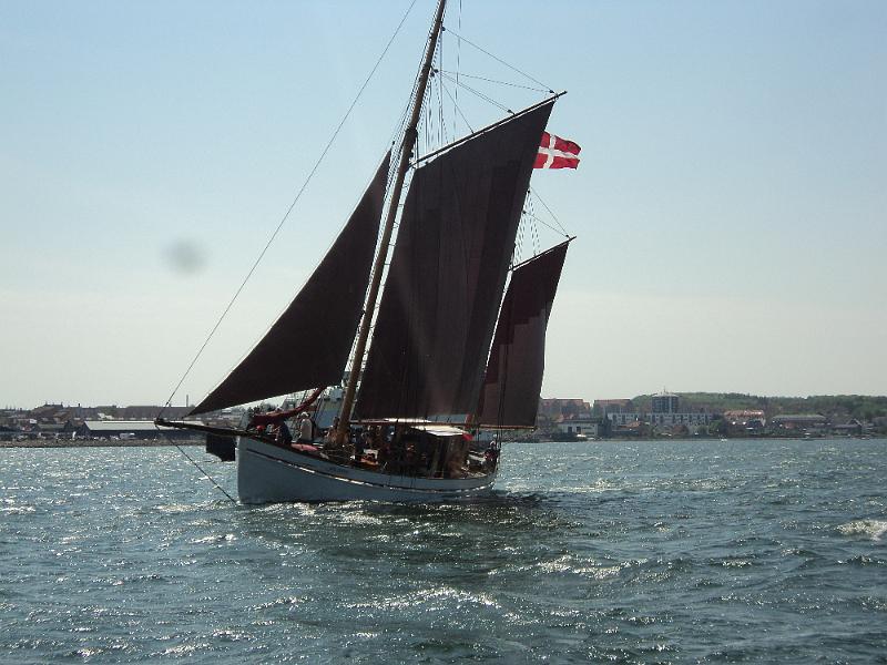 DSC01239.JPG