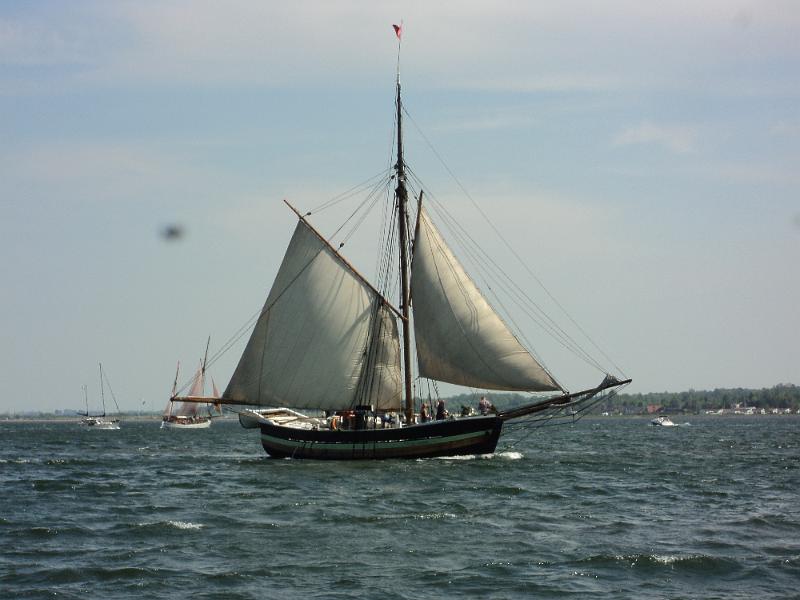 DSC01254.JPG