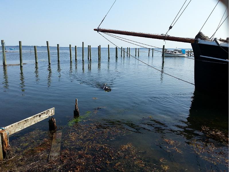 20130707_162227.jpg