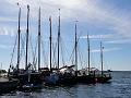 DSC00739
