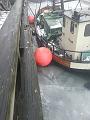 20140203_140929