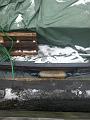 20140203_141004