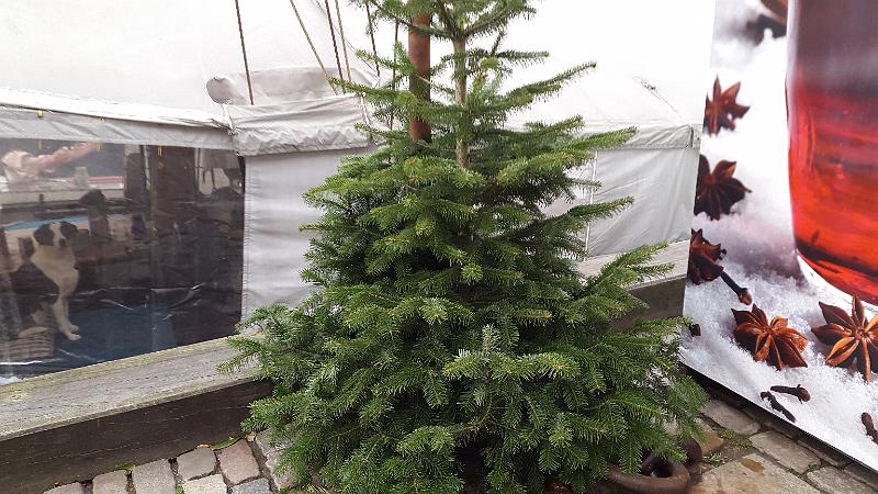 20161125_103739.jpg - IICSA