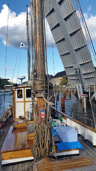 20170821_173458.jpg - IICSA   II